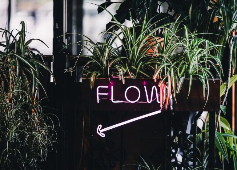flow sign at coffee shop with lots of plants